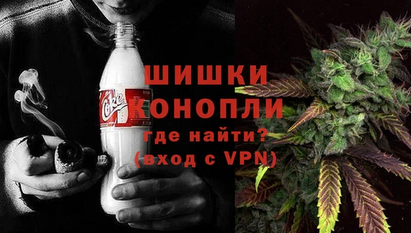 ешки Вяземский