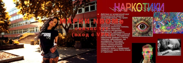 ешки Вяземский